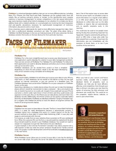 iBusinessIssue1Article-231x300